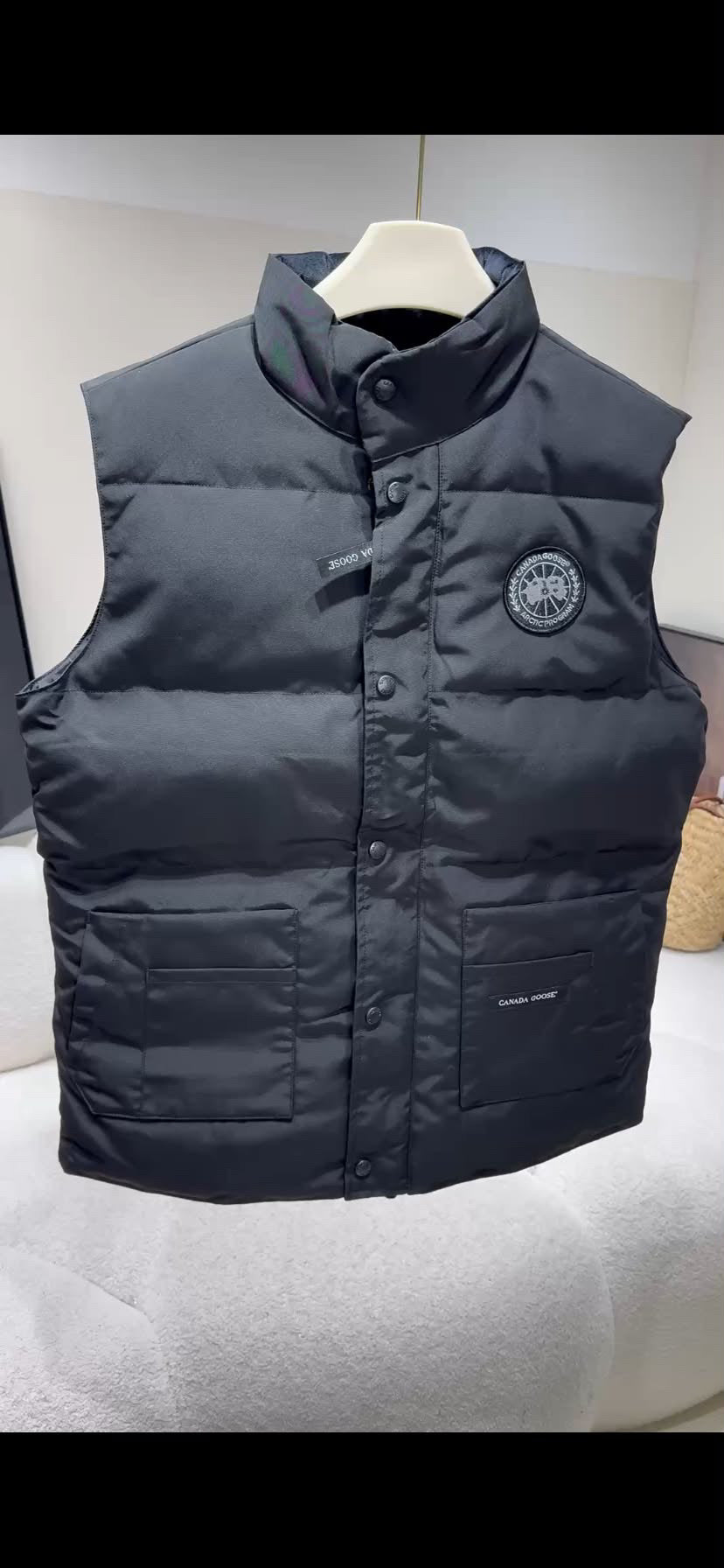 Canada goose