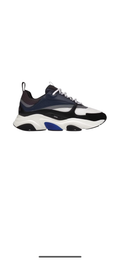 Dior B22