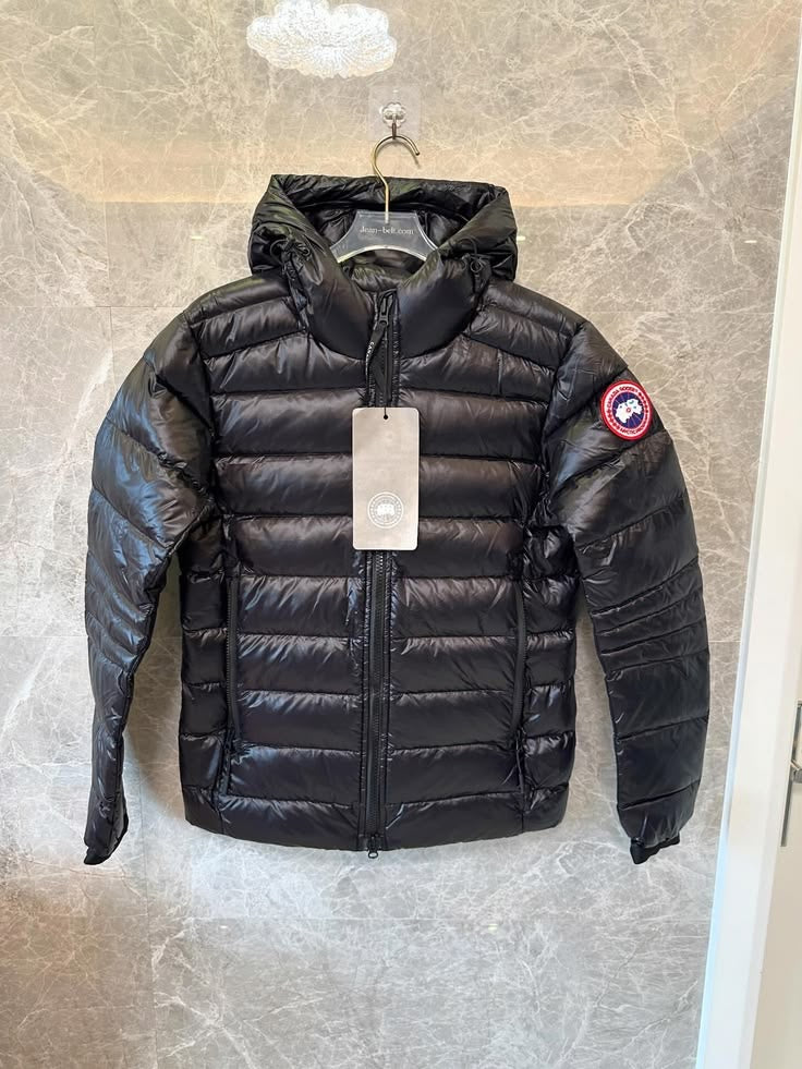 Canada goose Crofton